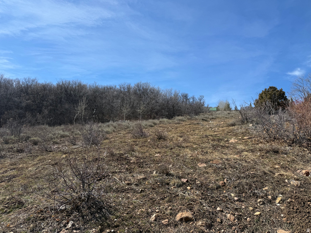 17  CALAMITY DR Fish Haven, ID 83287