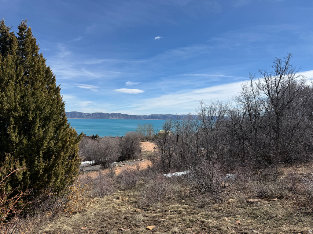 17  CALAMITY DR Fish Haven, ID 83287