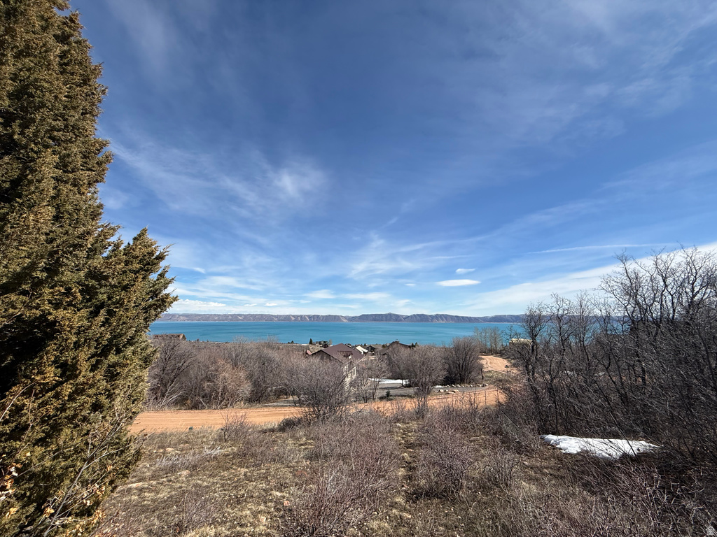 17  CALAMITY DR Fish Haven, ID 83287