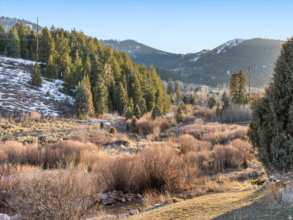 4399 W DISCOVERY WAY Park City, UT 84098