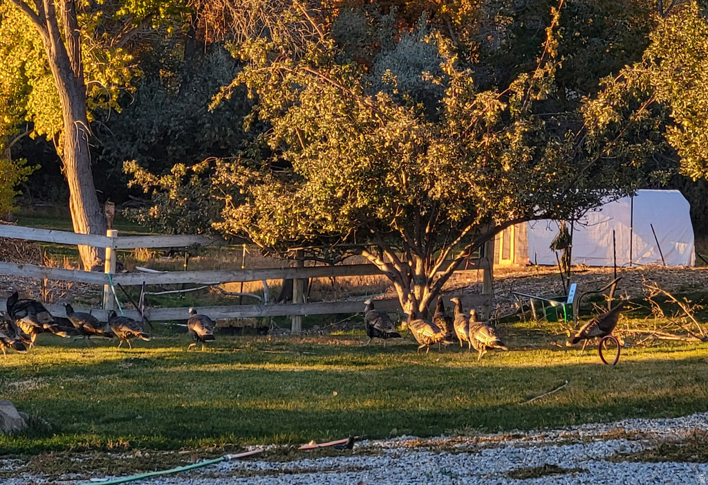 290 E STATE ROAD 29 Orangeville, UT 84537