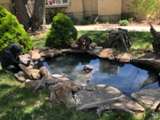 290 E STATE ROAD 29 Orangeville, UT 84537