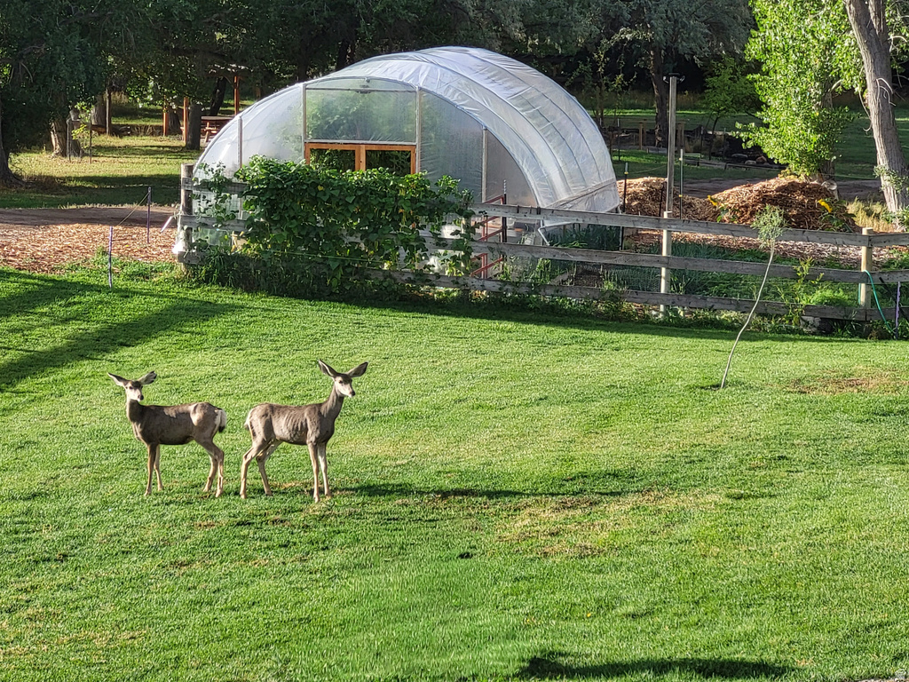 290 E STATE ROAD 29 Orangeville, UT 84537