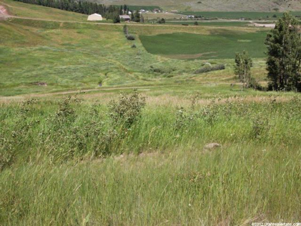 14  ELK WATCH LN Wayan, ID 83285