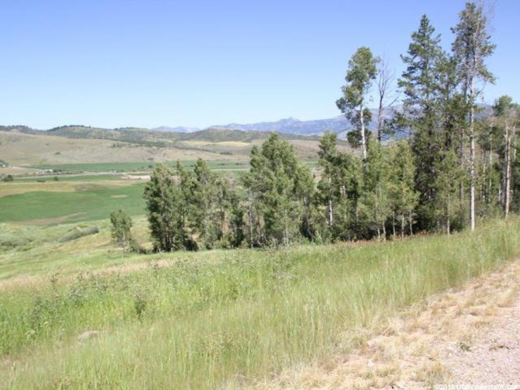 14  ELK WATCH LN Wayan, ID 83285
