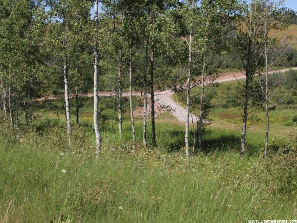 14  ELK WATCH LN Wayan, ID 83285