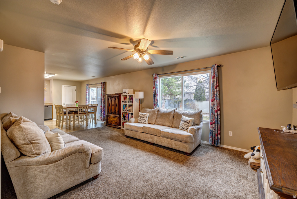 337 S 950 W Spanish Fork, UT 84660