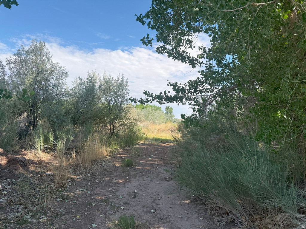 700 E 725 N Hanksville, UT 84734