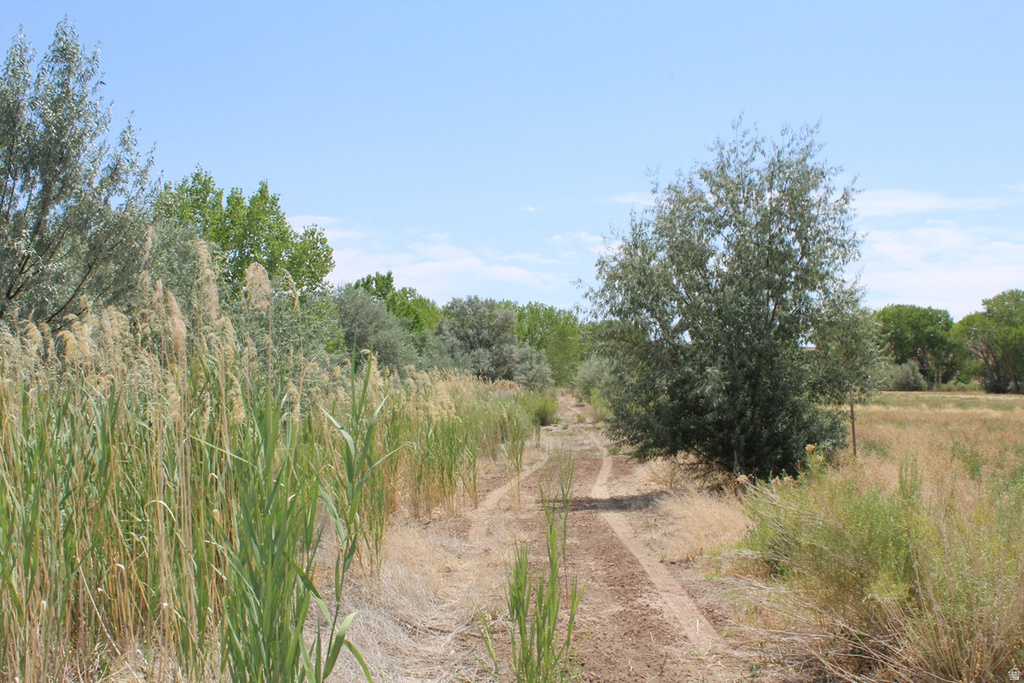 700 E 725 N Hanksville, UT 84734