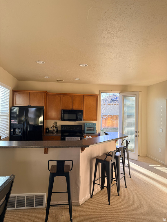 11778 S SUN TEA WAY South Jordan, UT 84009