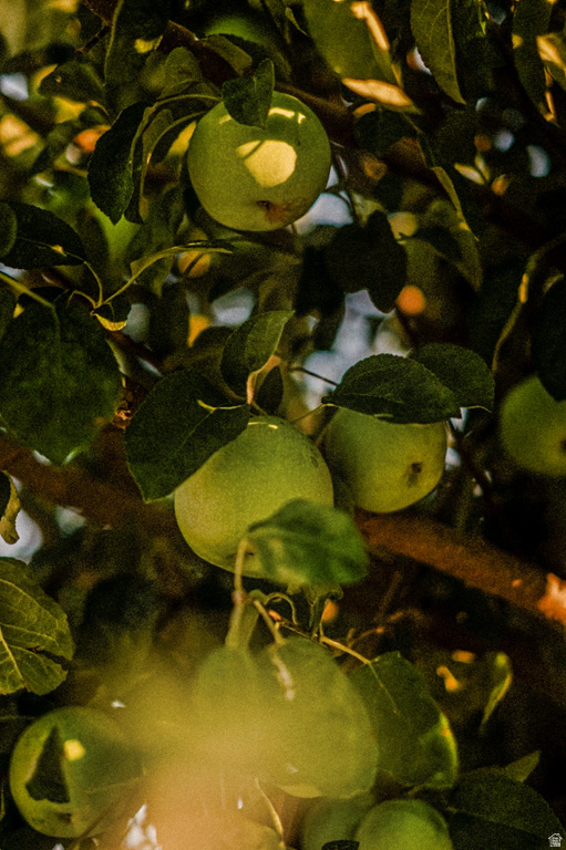 564 S 300 W Helper, UT 84526