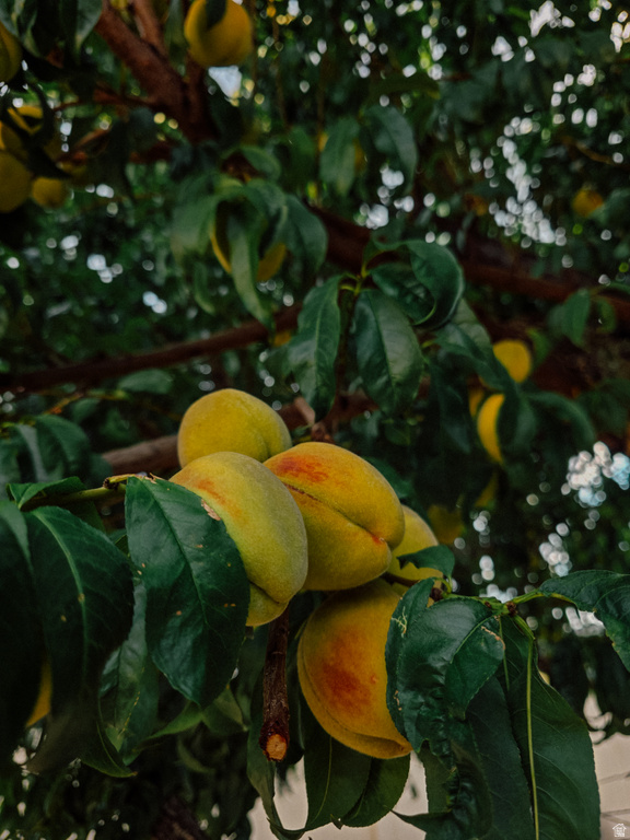 564 S 300 W Helper, UT 84526