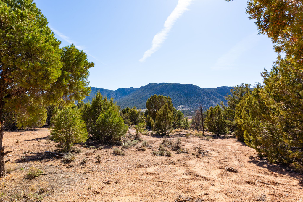 17765 W HARMONY LN Cedar City, UT 84720