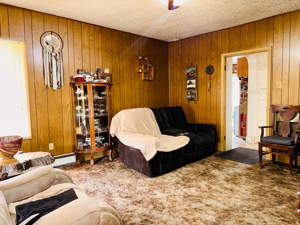 393 W CENTER ST Springville, UT 84663