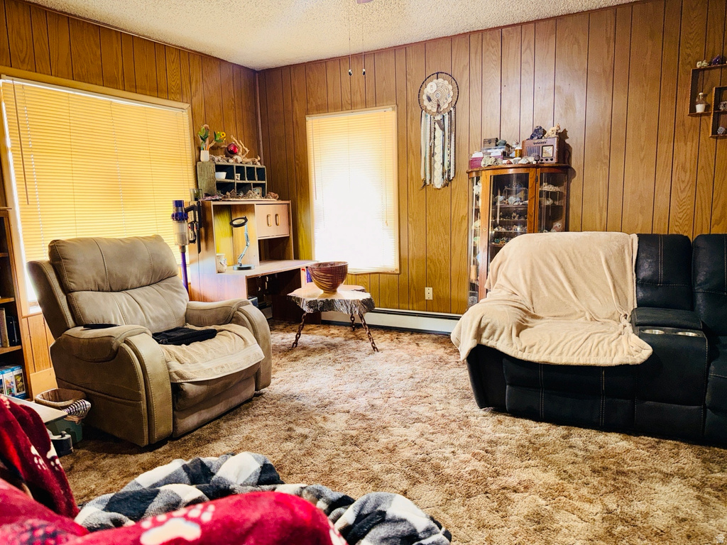 393 W CENTER ST Springville, UT 84663