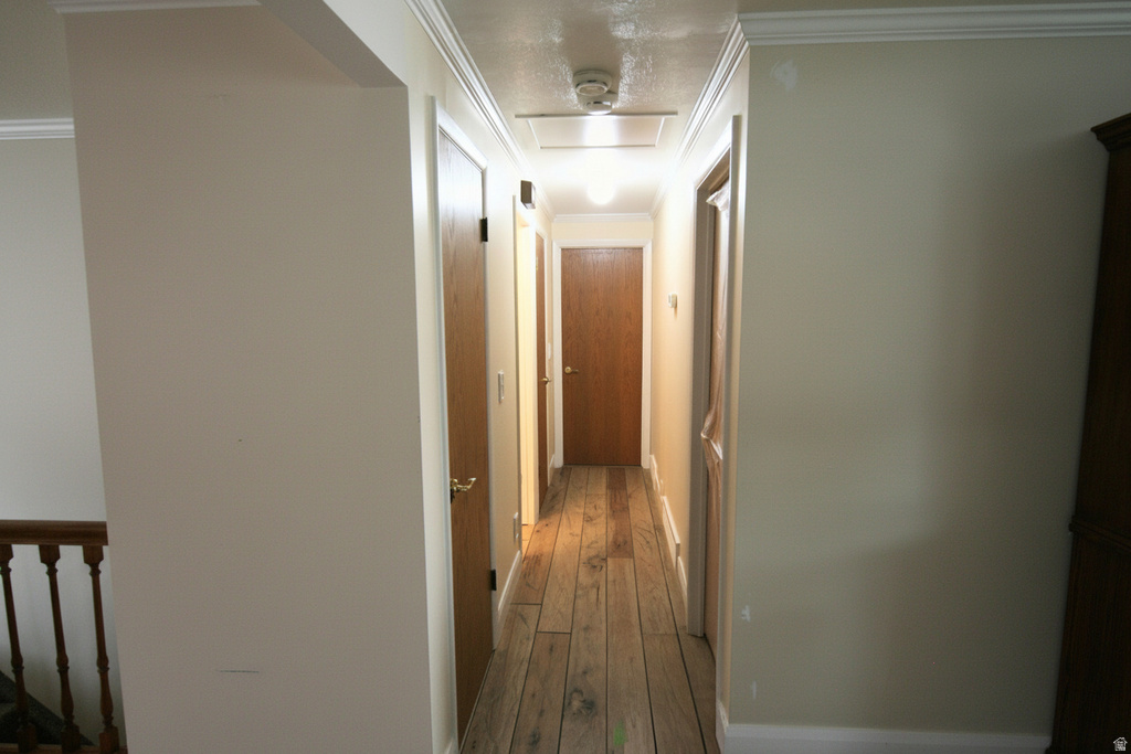 1242 E EARL WAY Sandy, UT 84094