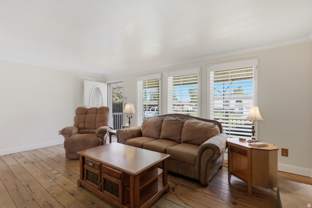 1242 E EARL S WAY photo 4