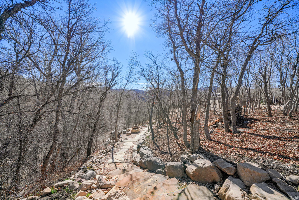 82 N MEADOW DR Springville, UT 84663