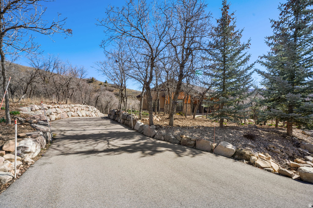 82 N MEADOW DR Springville, UT 84663