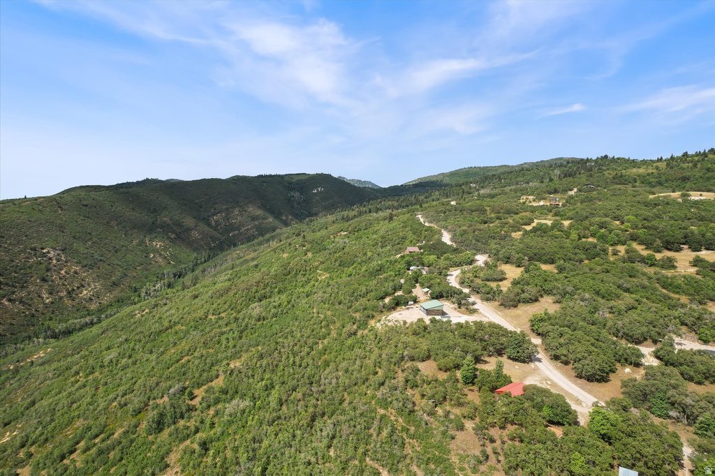 23255 N JUNIPER DR #M79 Fairview, UT 84629