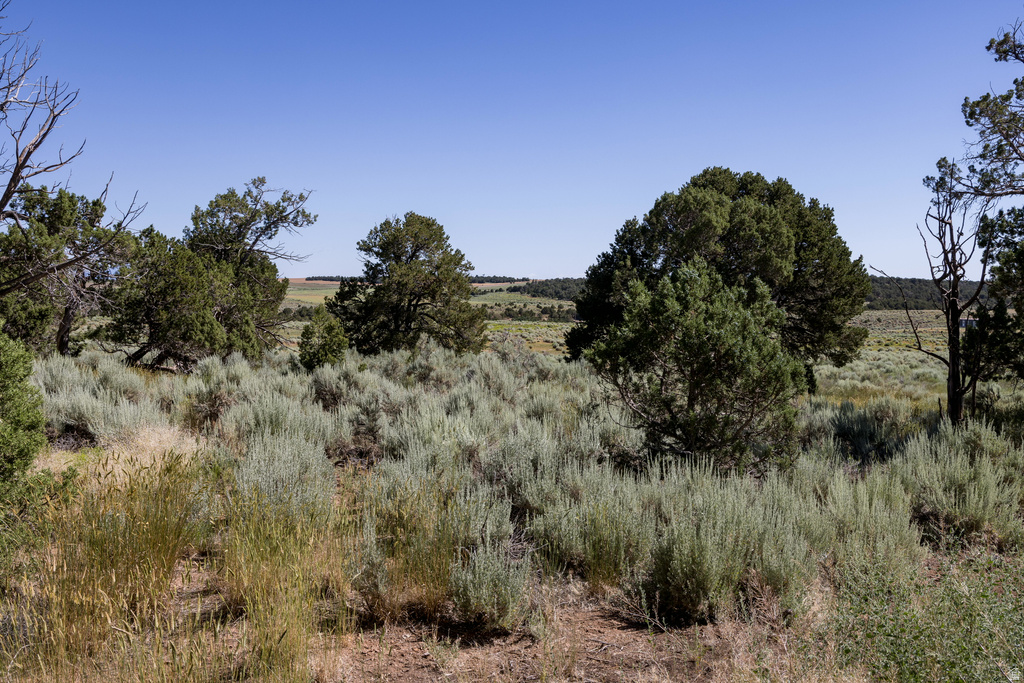 684 W BLUE MOUNTAIN RIDGE Monticello, UT 84535