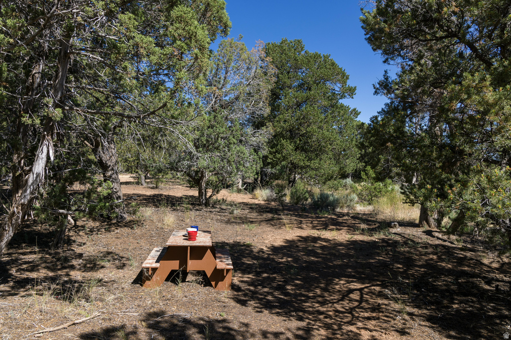 684 W BLUE MOUNTAIN RIDGE Monticello, UT 84535