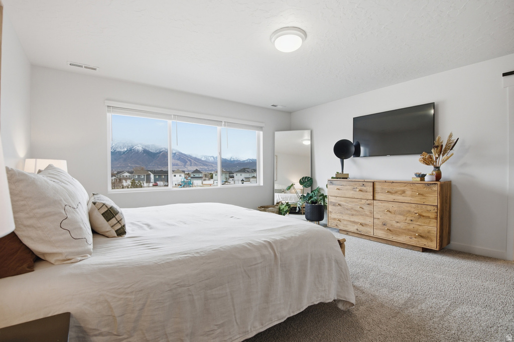 11536 S OLD CEDAR DR South Jordan, UT 84095