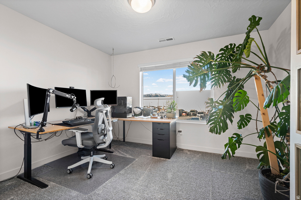 11536 S OLD CEDAR DR South Jordan, UT 84095