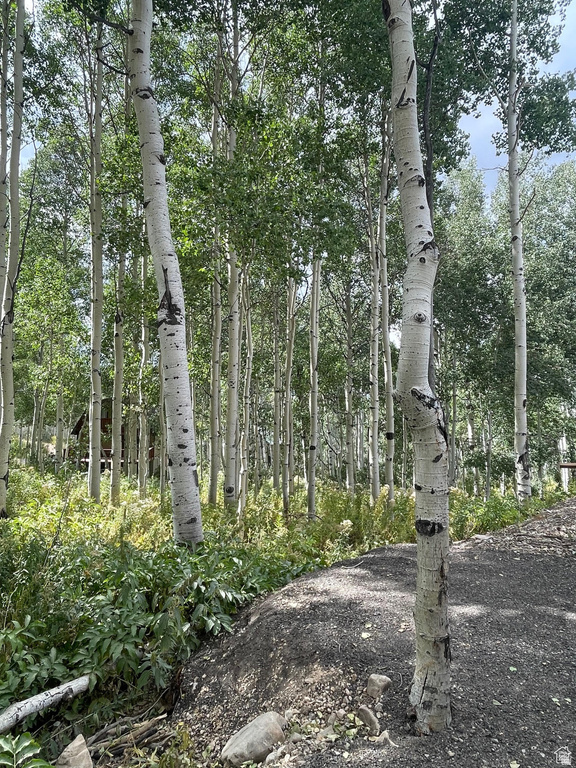 11485 E VIOLET WAY Heber City, UT 84032