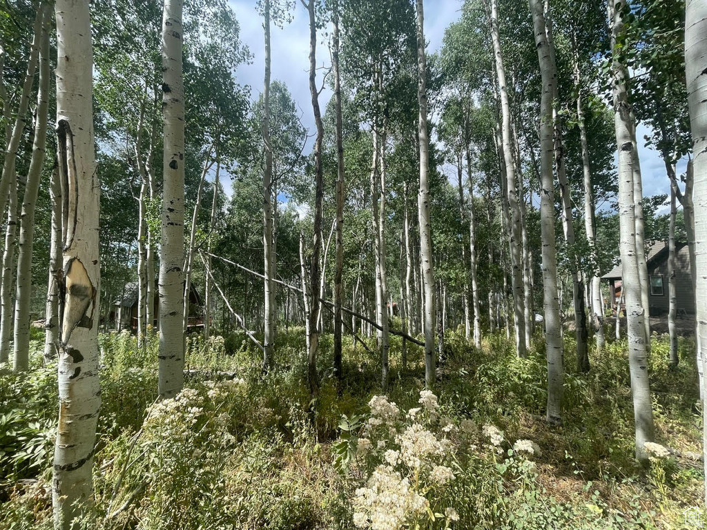 11485 E VIOLET WAY Heber City, UT 84032