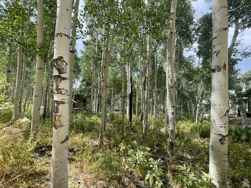 11485 E VIOLET WAY Heber City, UT 84032