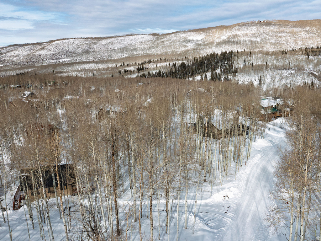 11485 E VIOLET WAY Heber City, UT 84032