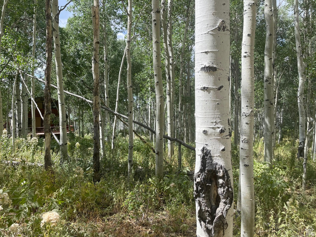 11485 E VIOLET WAY Heber City, UT 84032