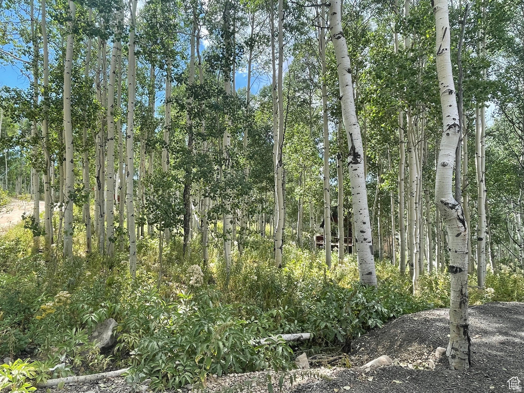 11485 E VIOLET WAY Heber City, UT 84032