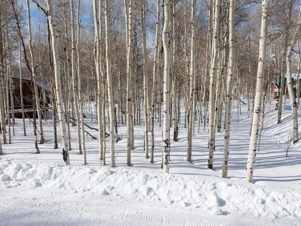 11485 E VIOLET WAY Heber City, UT 84032