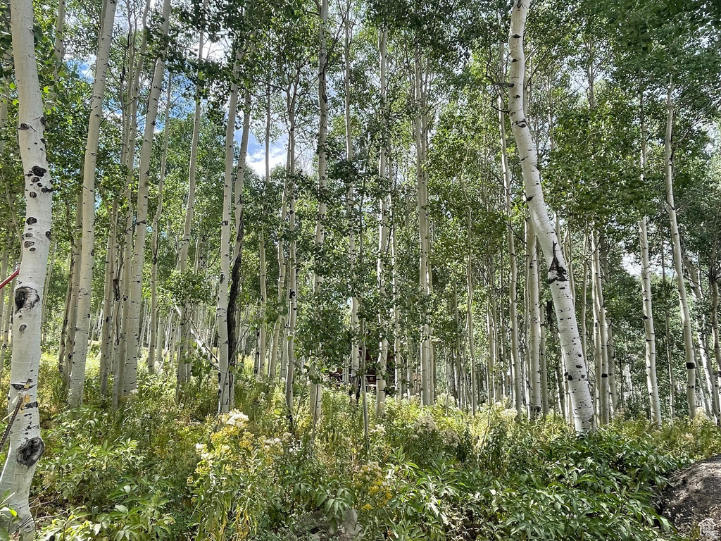 11485 E VIOLET WAY Heber City, UT 84032