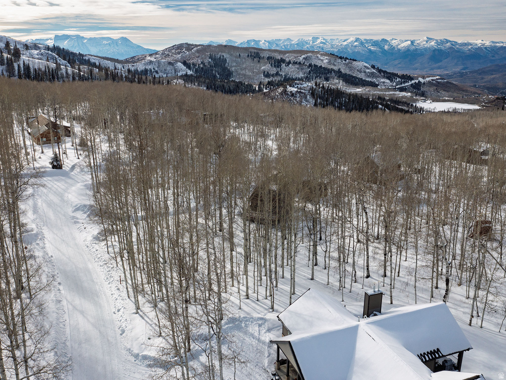 11485 E VIOLET WAY Heber City, UT 84032