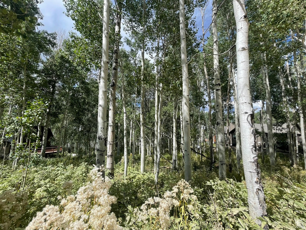 11485 E VIOLET WAY Heber City, UT 84032