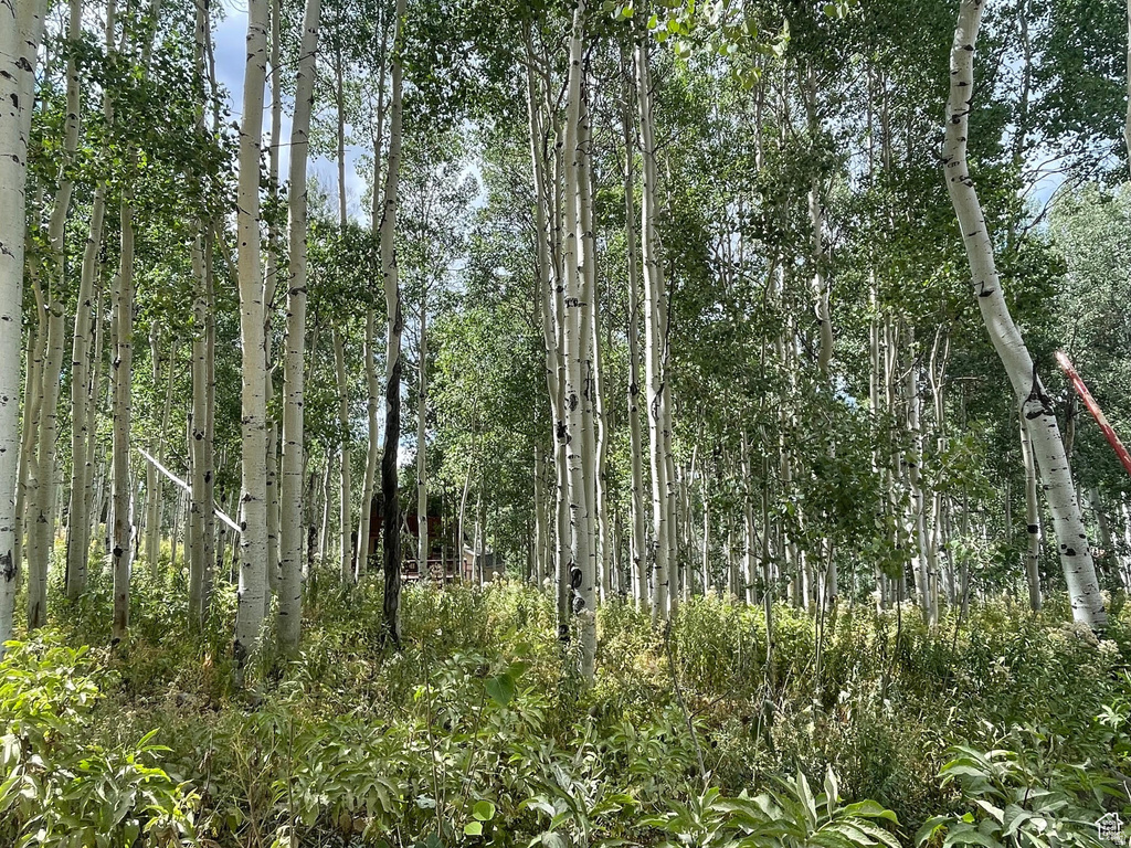 11485 E VIOLET WAY Heber City, UT 84032