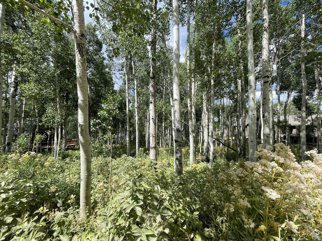 11485 E VIOLET WAY Heber City, UT 84032