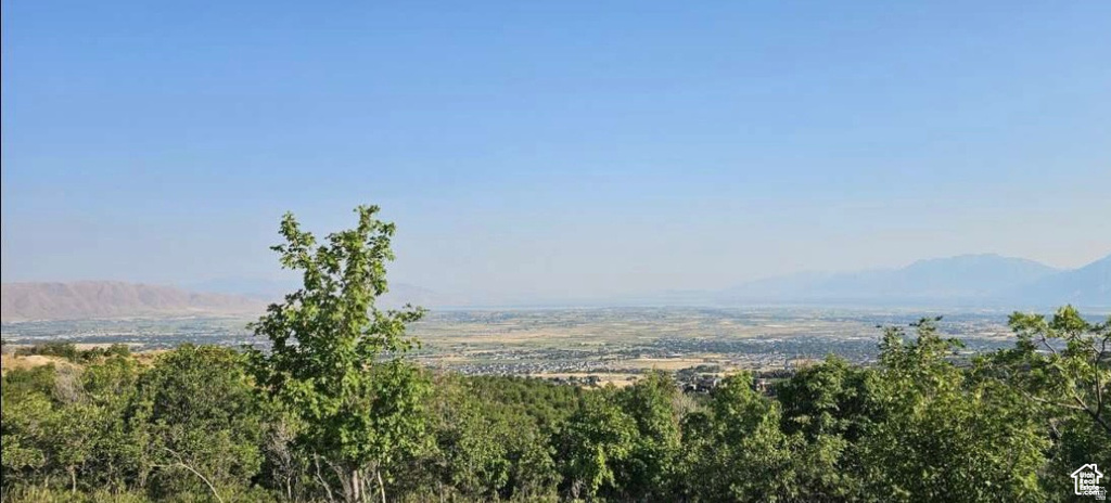 1007 S SUMMIT CREEK DR Woodland Hills, UT 84653