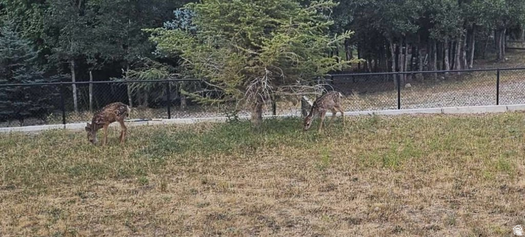 1007 S SUMMIT CREEK DR Woodland Hills, UT 84653