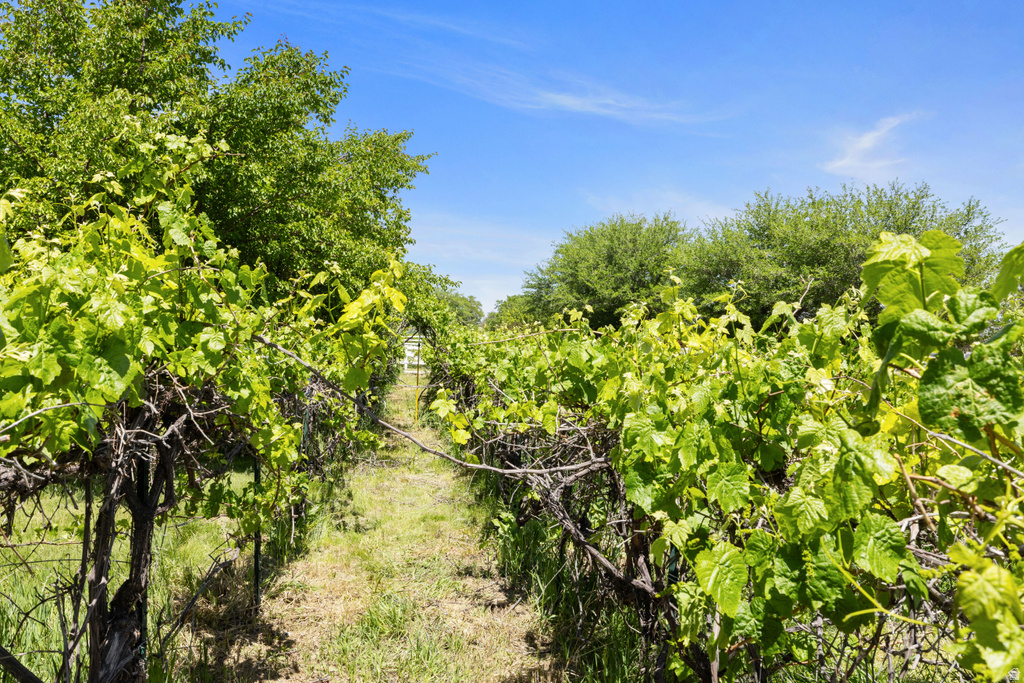 1890 W ROCK HOLLOW RD Bluffdale, UT 84065