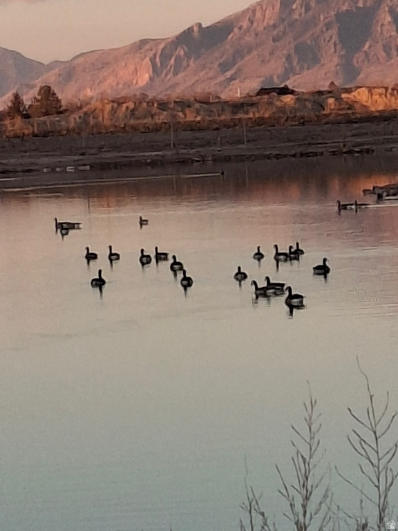 4273 W 3800 S #C West Haven, UT 84401