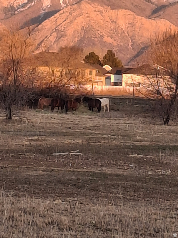 4273 W 3800 S #C West Haven, UT 84401