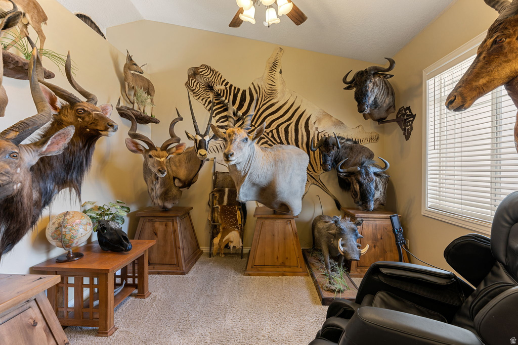 4165 W 975 S Cedar City, UT 84720