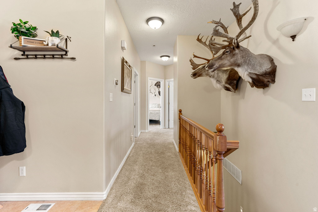 4165 W 975 S Cedar City, UT 84720