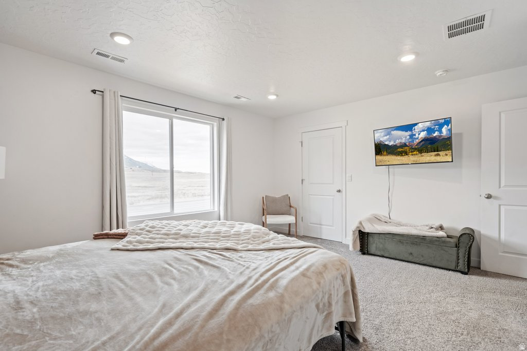 1208 W SUMMIT RIDGE PKWY Santaquin, UT 84655