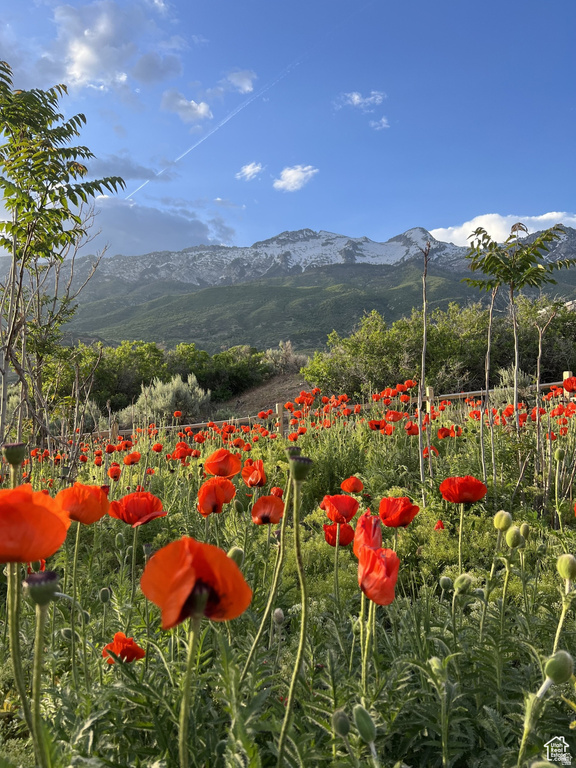 3862 W OAK HILL DR Alpine, UT 84004