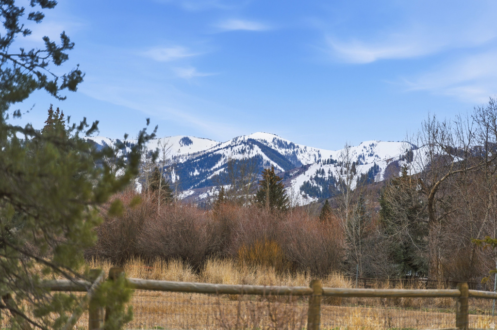 1213 ANGUS CT Snyderville, UT 84098